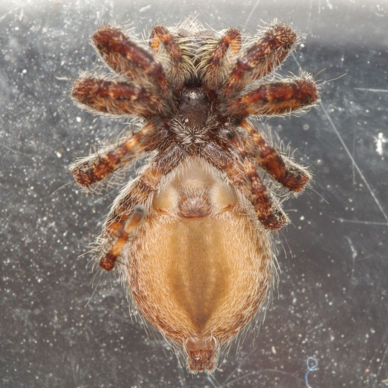 A1214